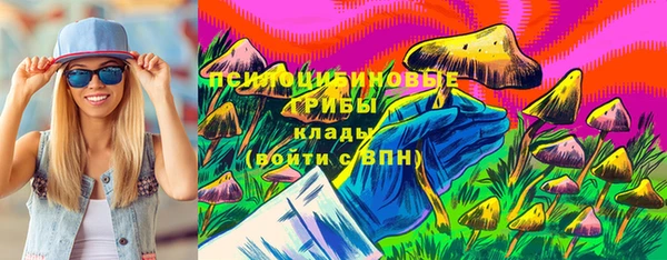 амф Алзамай