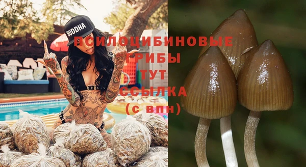 амф Алзамай