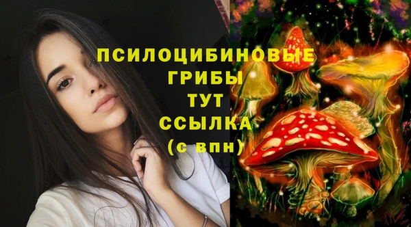 хмурый Алексеевка