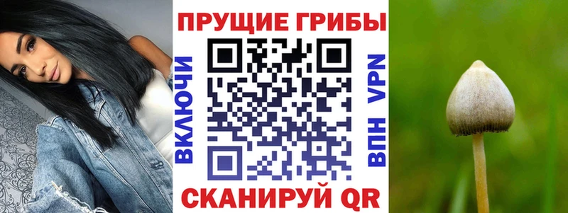 Псилоцибиновые грибы ЛСД  KRAKEN как зайти  Кемь  как найти закладки 